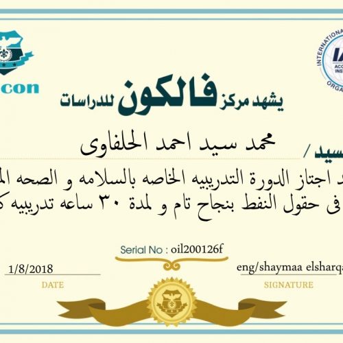 محمد سيد احمد الحلفاوي – oil200126f