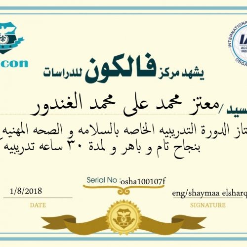 معتز محمد على محمد الغندور – osha100107f