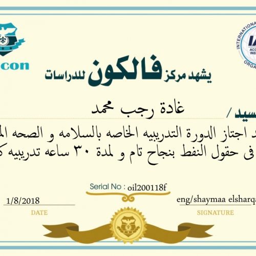 غادة رجب محمد – oil200118f