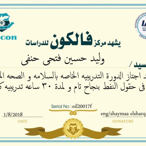 وليد حسين فتحي حنفي – oil20017f