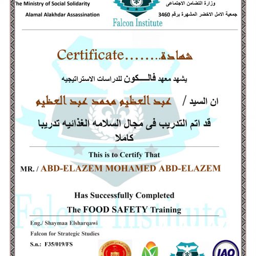 عبد العظيم محمد عبد العظيم – f35/019/fs