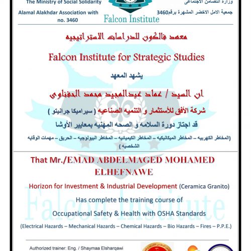 عماد عبد المجيد محمد الحفناوي – osha100172f/041g