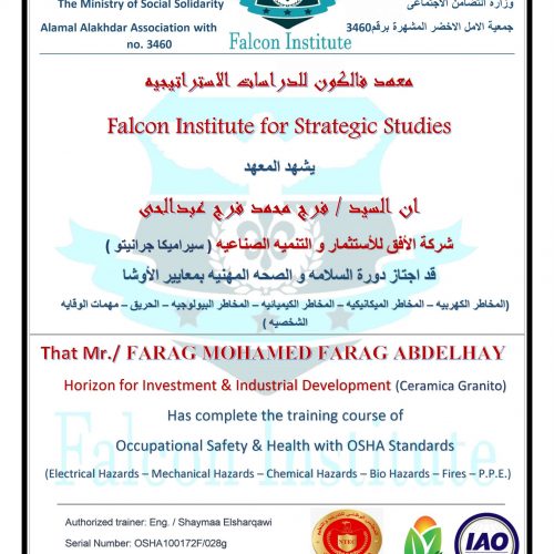 فرج محمد فرج عبد الحى – osha100172f/028g