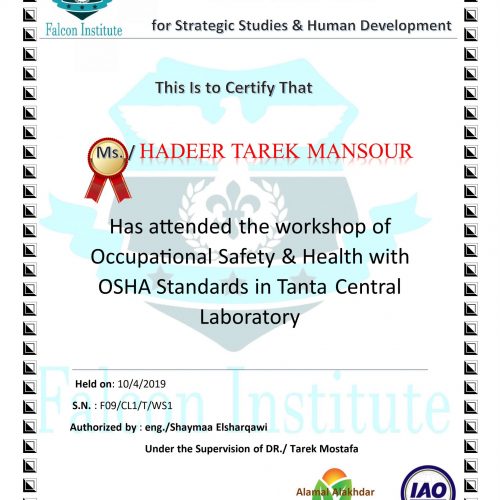 Hadeer Tarek Mansour – f09/cl1/t/ws1