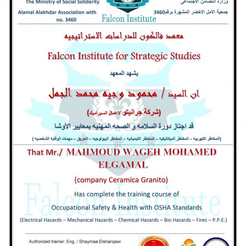 محمد وجيه محمد الجمل – osha100172f/060g