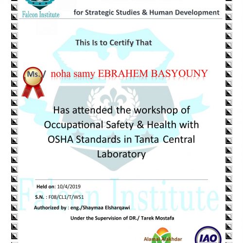 Noha Samy Ebrahem – f08/cl1/t/ws1