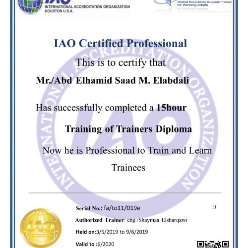 Abd Elhamid saad – fa/to11/019e