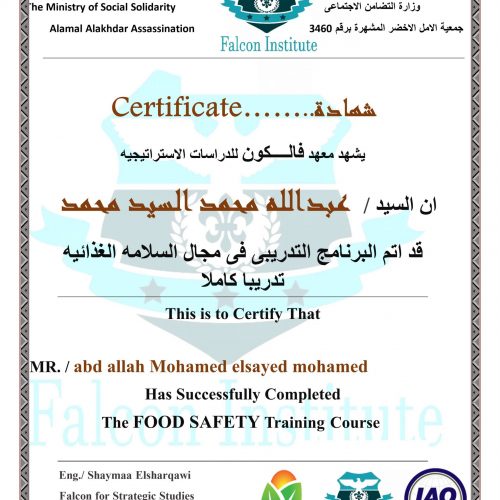 عبدالله محمد السيد محمد – f29/019/fs