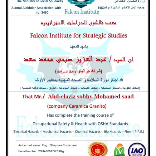 عبد العزيز صبحى محمد سعد – osha100172f/064g