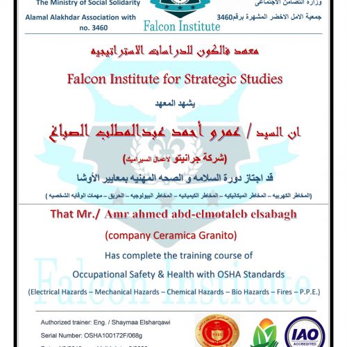 عمرو احمد عبد المطلب – osha100172f/068g