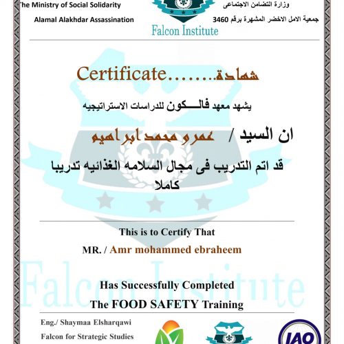 عمرو محمد ابراهيم – f17/019/fs