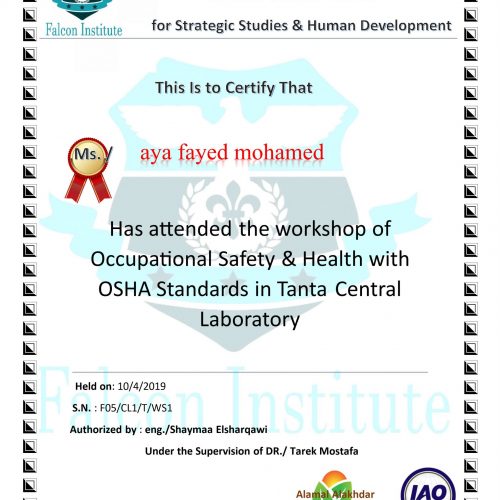 Aya Fady Mohamed – f05/cl1/t/ws1