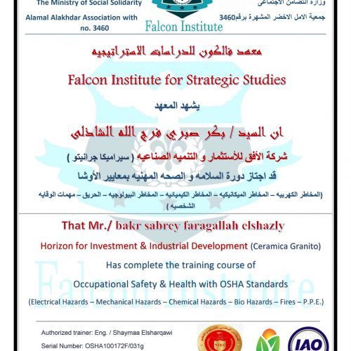 بكر صبري فرج الله – osha100172f/031g