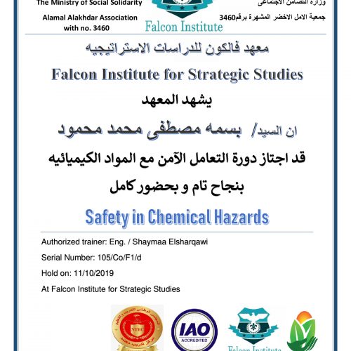 بسمة مصطفى محمد محمود – 105/co/f1/d