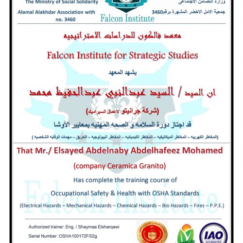 السيد عبد النبي عبد الحفيظ محمد – osha100172f/02g