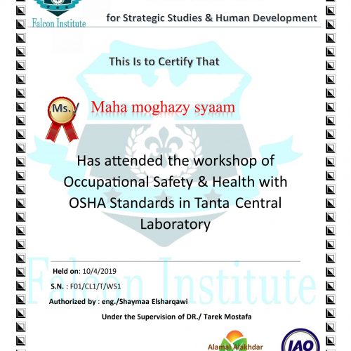 Maha Moghazy Syaam – f01/cl1/t/ws1