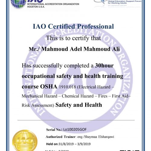 Mahmoud Adel Mahmoud – lo100205gof