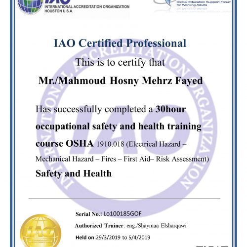 Mahmoud Hosny Mehrz – lo100185gof