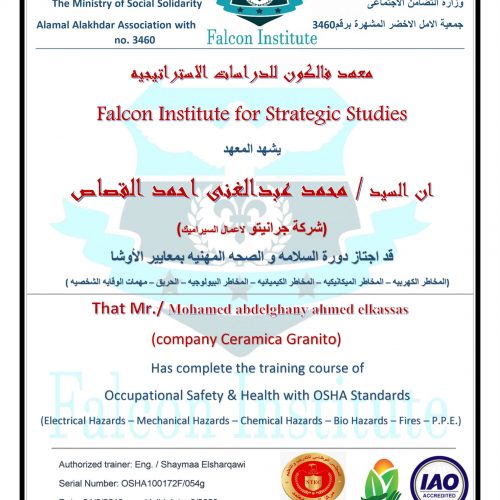 محمد عبد الغنى احمد القصاص – osha100172f/054g