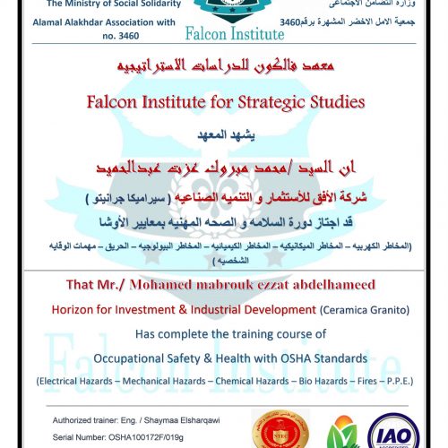 محمد مبروك عزت عبد الحميد – osha100172f/019g