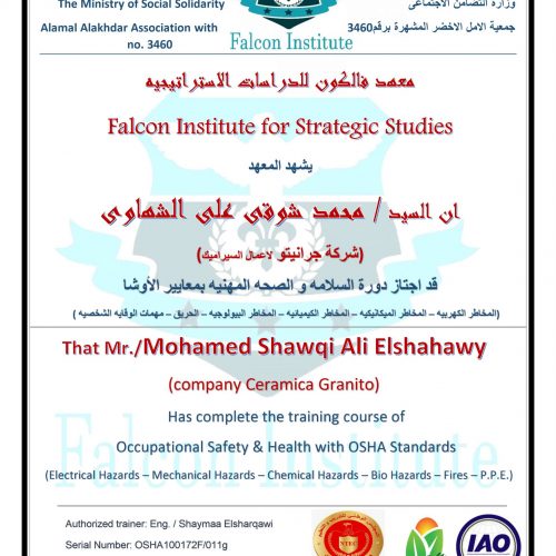 محمد شوقي على الشهاوي – osha100172f/011g