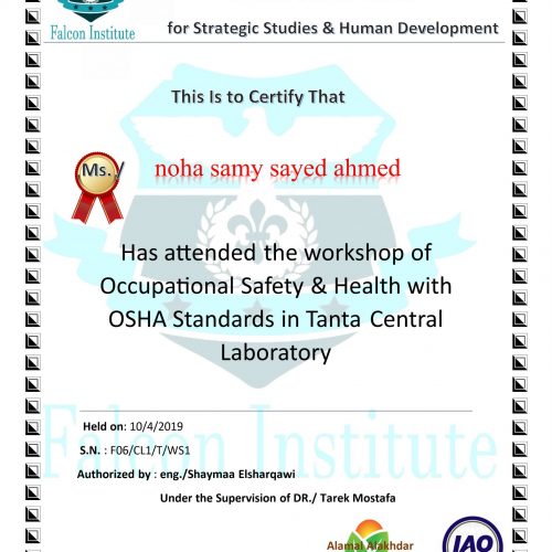 Noha Samy Sayed – f06/cl1/t/ws1