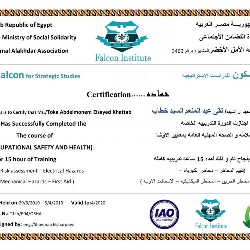 تقى عبد المنعم السيد – T1LO/F04/OSHA