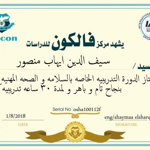 سيف الدين ايهاب منصور – osha100112f