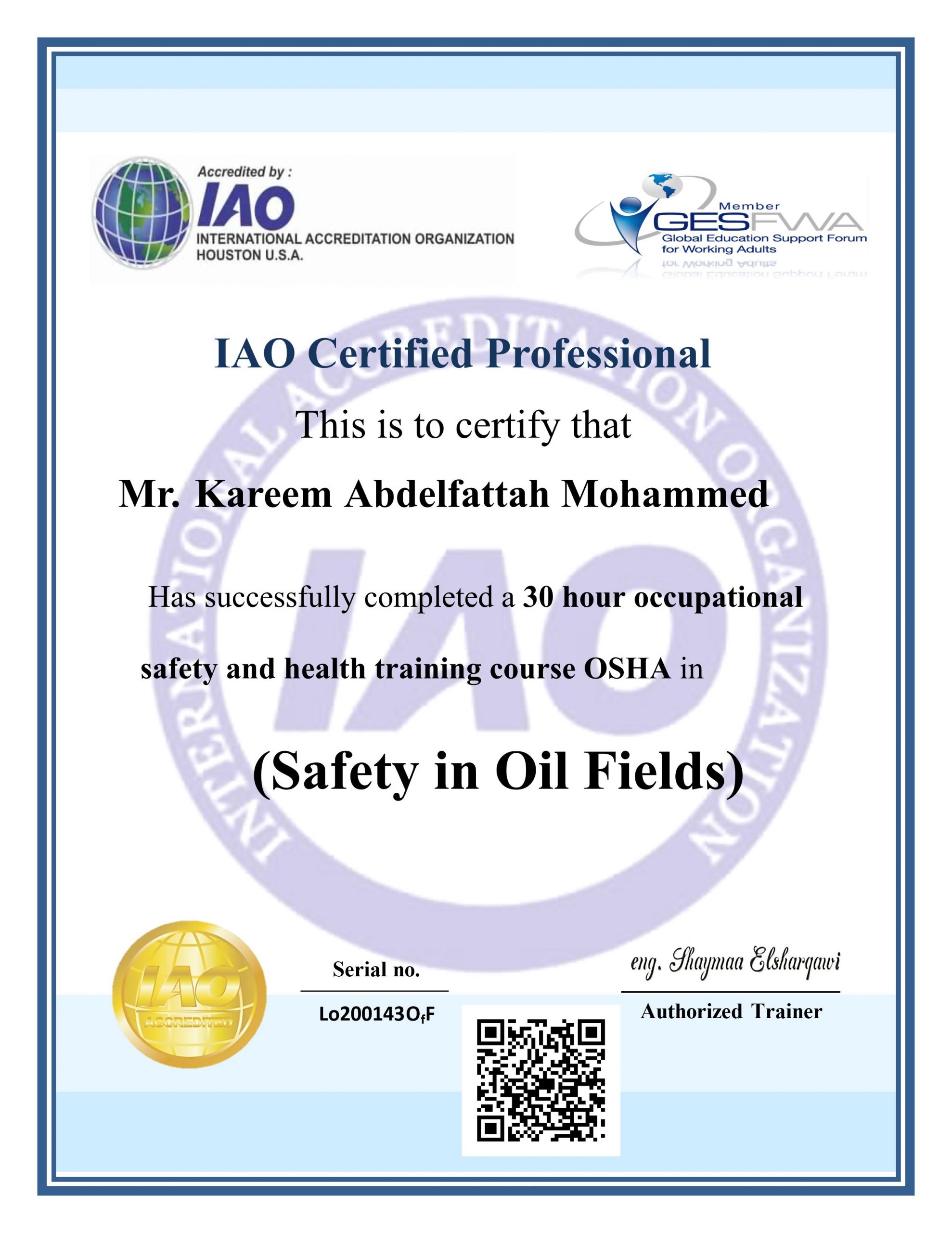 You are currently viewing Kareem Abd Elfattah Mohammed – LO200143OFf