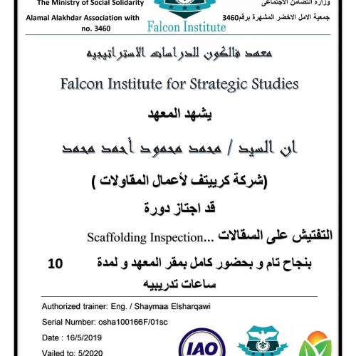 محمد محمود احمد محمد – osha100166f/01sc